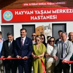 manisada-sokak-hayvanlari-icin-hayvan-yasam-merkezi-hizmete-acildi-uYk7edFD.webp