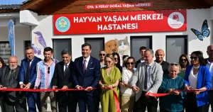 manisada-sokak-hayvanlari-icin-hayvan-yasam-merkezi-hizmete-acildi-uYk7edFD.webp