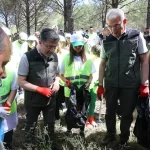 orman-yanginlarina-karsi-es-zamanli-temizlik-RL4Shhbe.webp